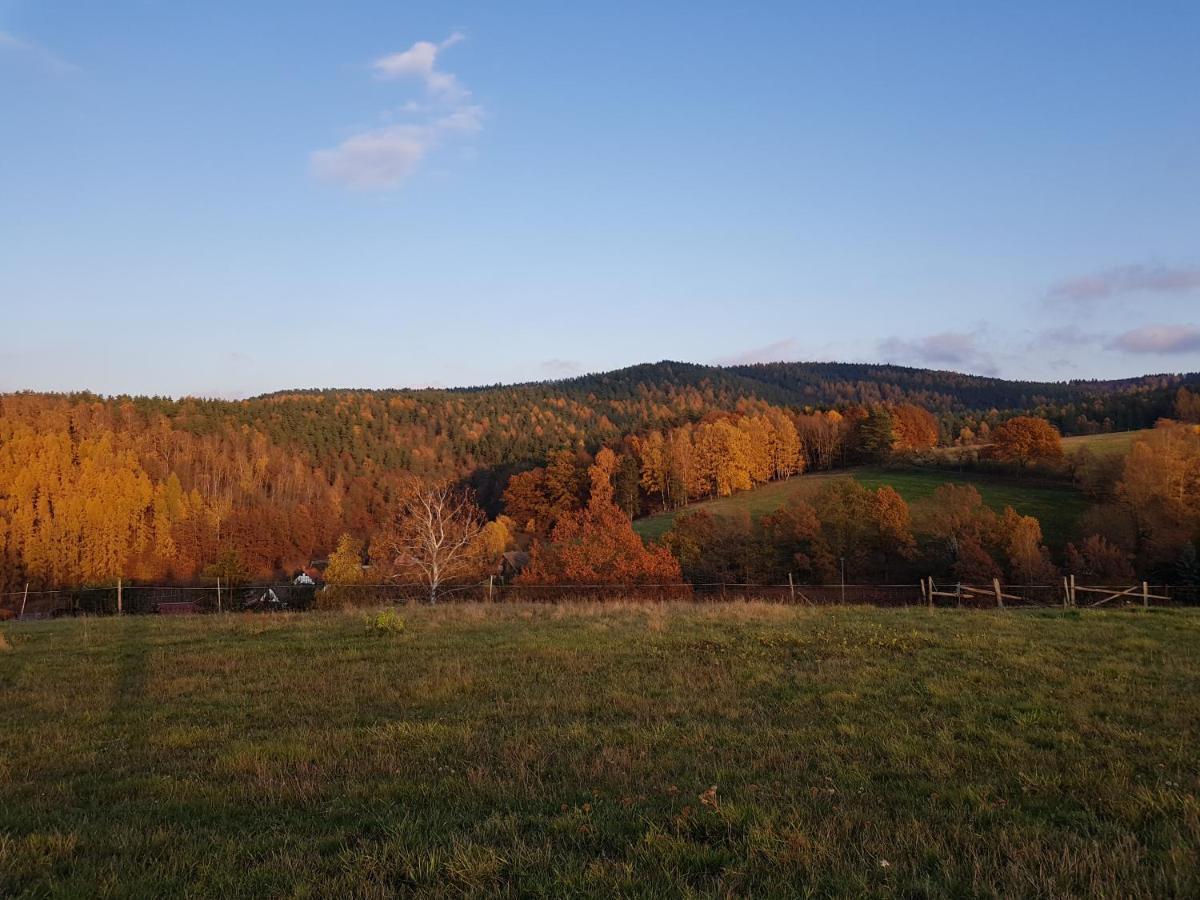 Ferienwohnung Bonndorf Wasungen Esterno foto